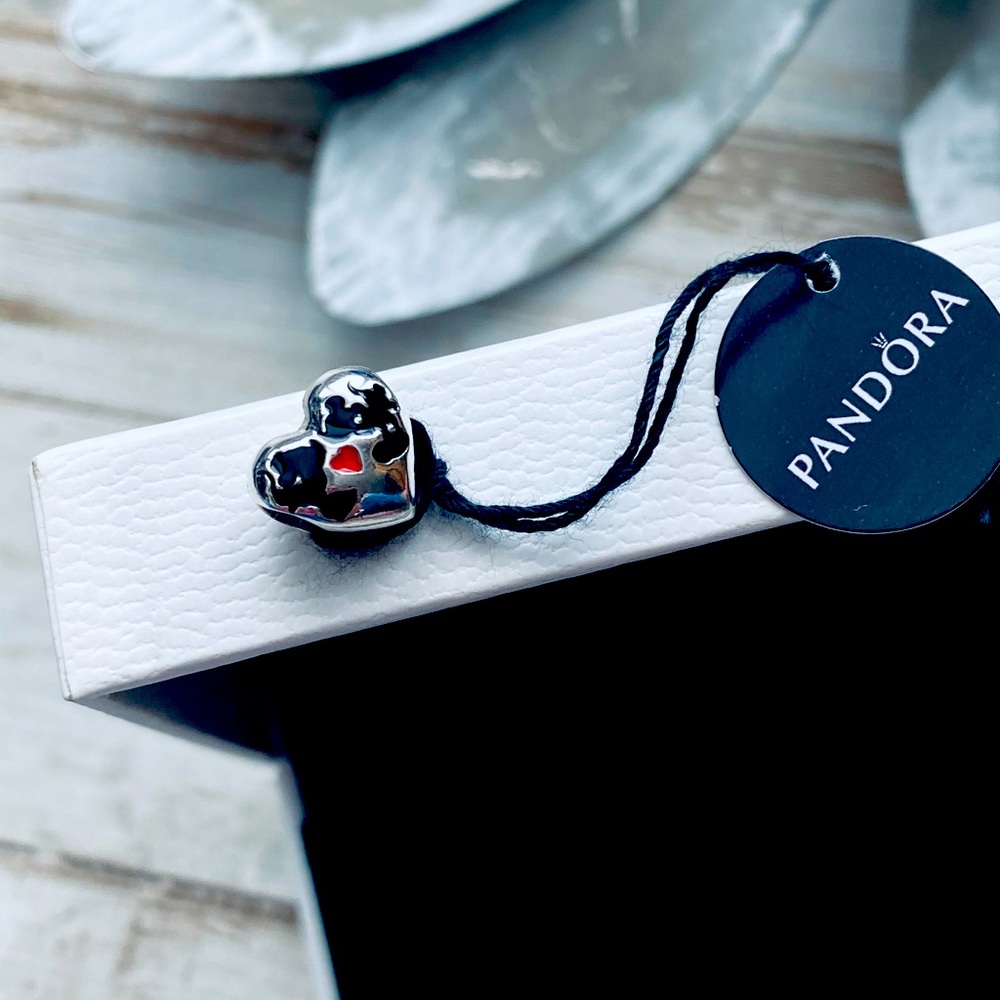 Pandora Charm